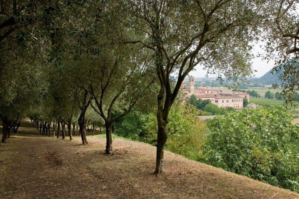 Terme Orvieto Hotel
