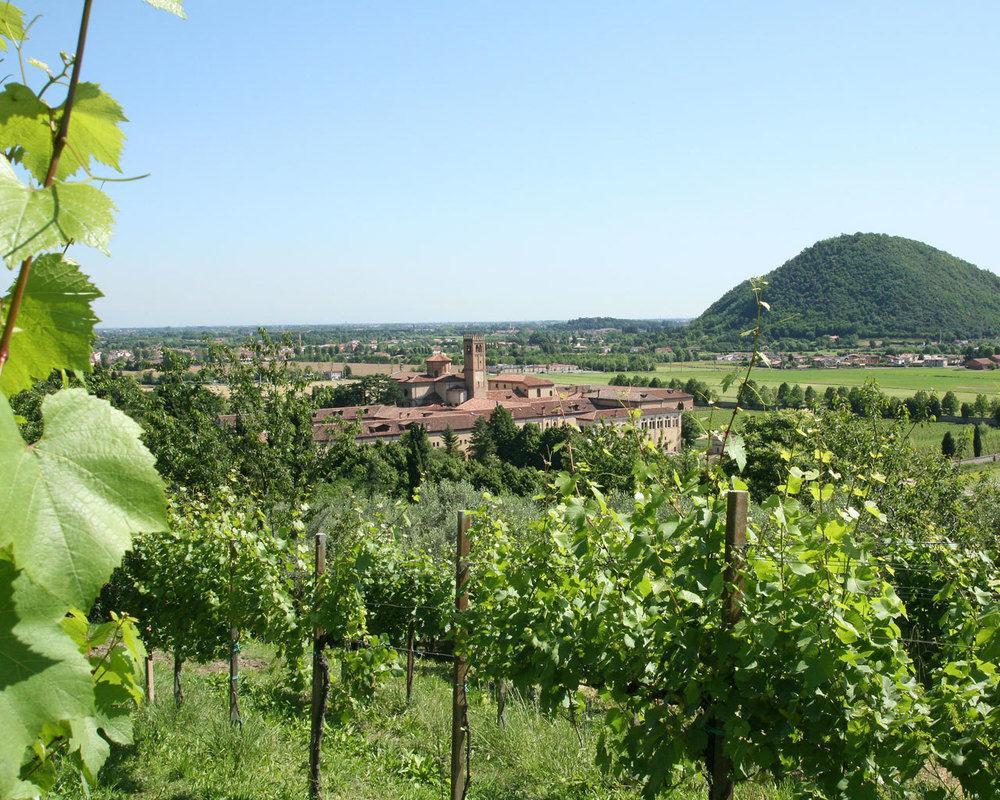 Terme Orvieto Hotel